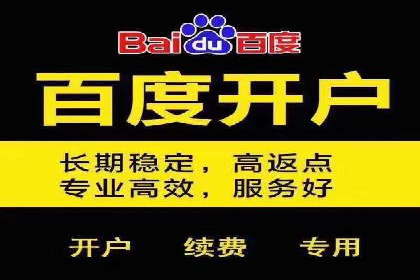 百度推广运营案例分享：助力企业快速崛起